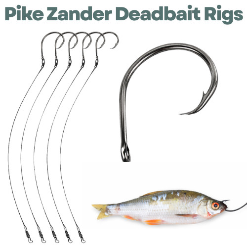 Circle hooks pike - circle,